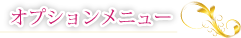 まつげカール オプションメニュー