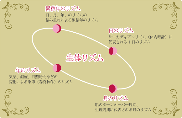生体リズム